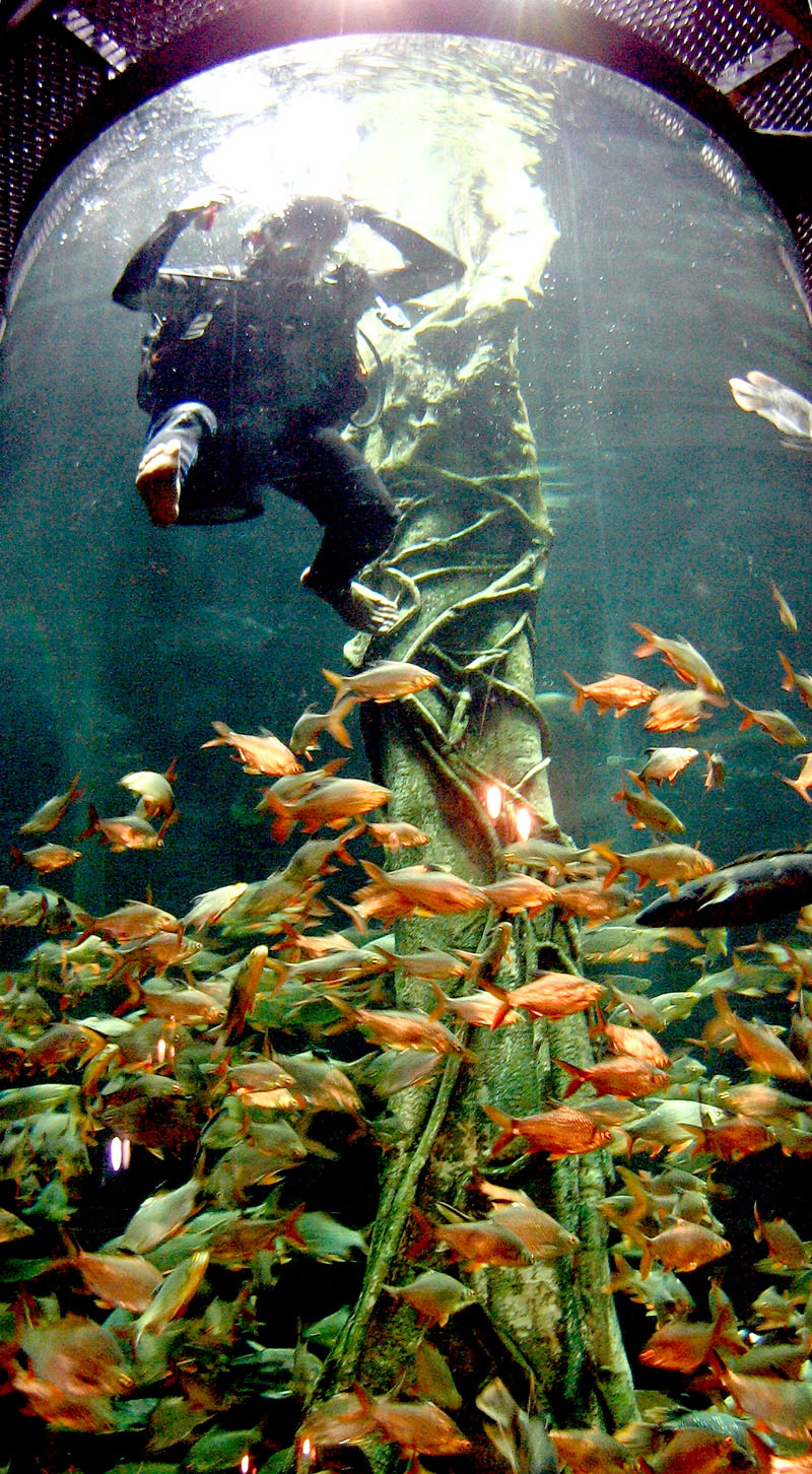 Aquaria KLCC Kuala Lumpur