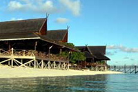 The Reef Dive Resort & Tours