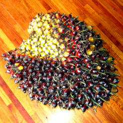 FFB Fresh Fruit Bunch