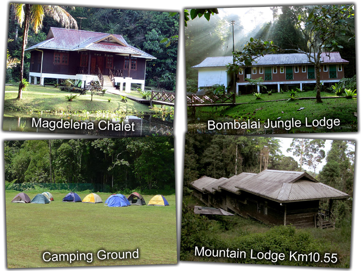 Accommodation in Tawau Hills Park