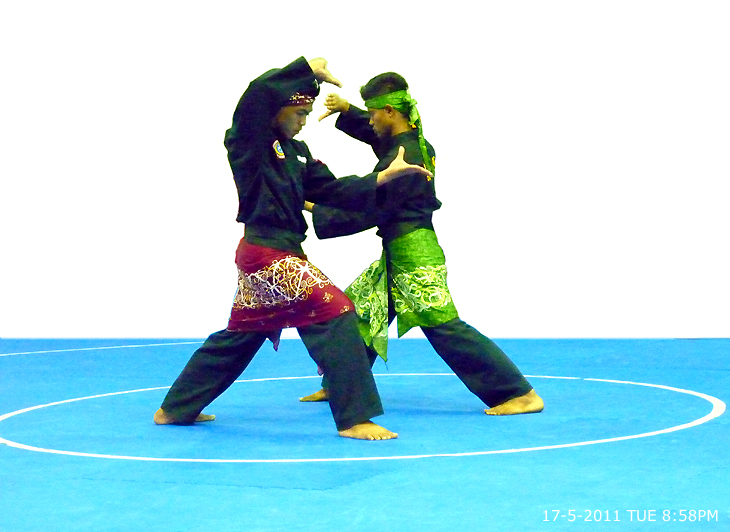 FESTIVAL SILAT NUSANTARA - Silat Olahraga (combat)