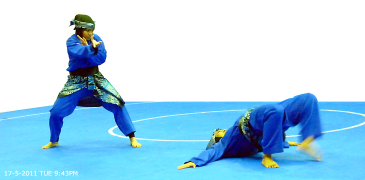 FESTIVAL SILAT NUSANTARA 2011