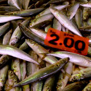 TAWAU  FISH  MARKET