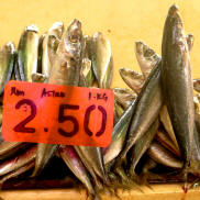 TAWAU  FISH  MARKET