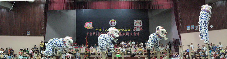 Chinese New Year 2007 Year of Pig