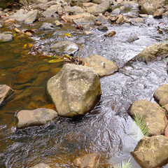 Upper Stream