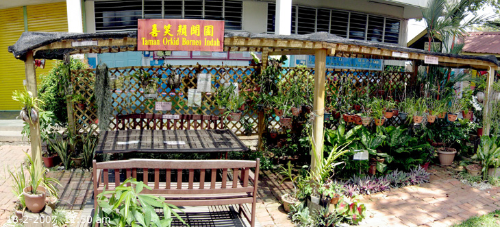 TAMAN IMPIAN of  SJK Sin Hwa Tawau