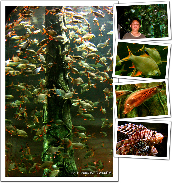 Amazing cylindrical tank holding a mix of fish
