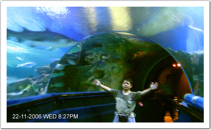 Oceanarium