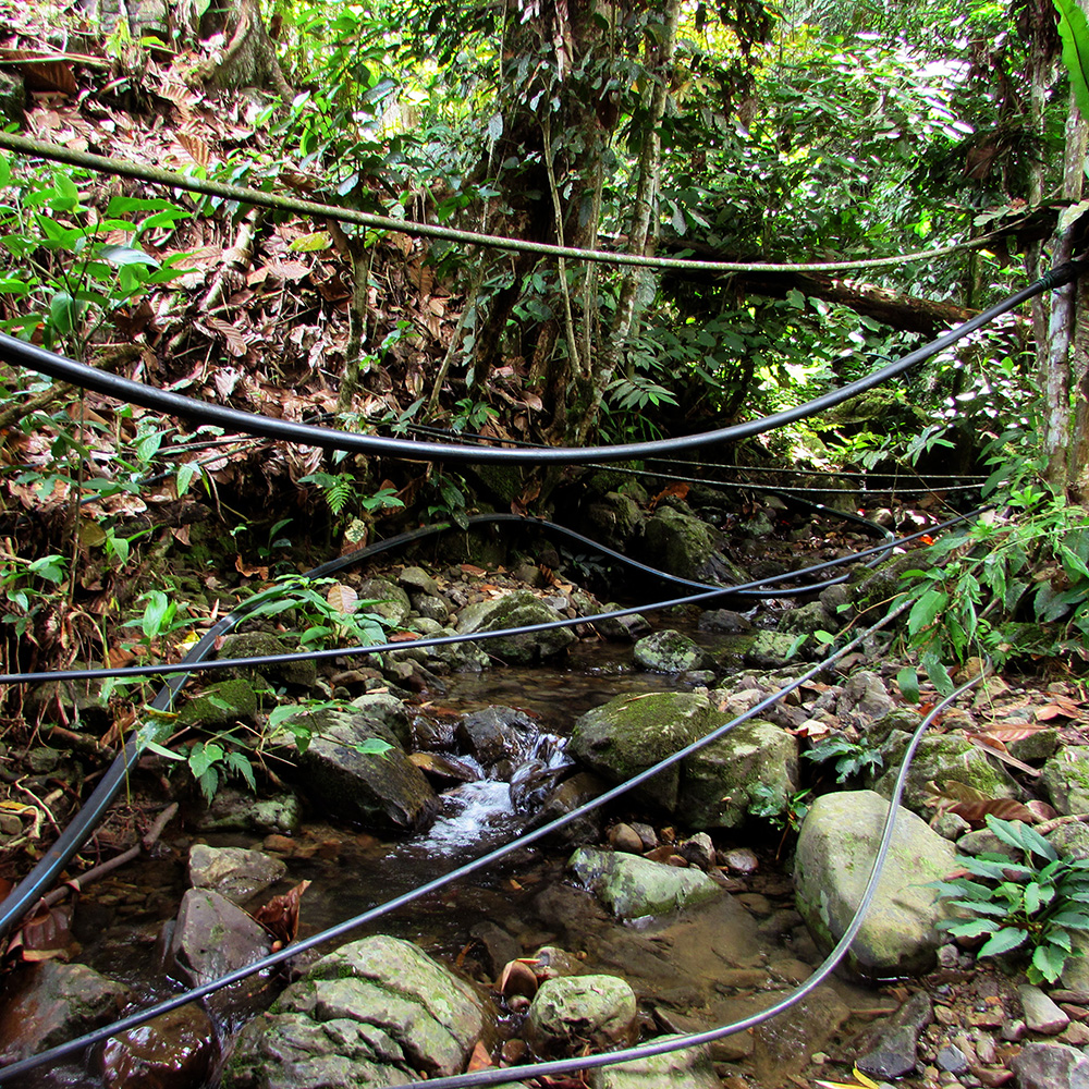 Stream water