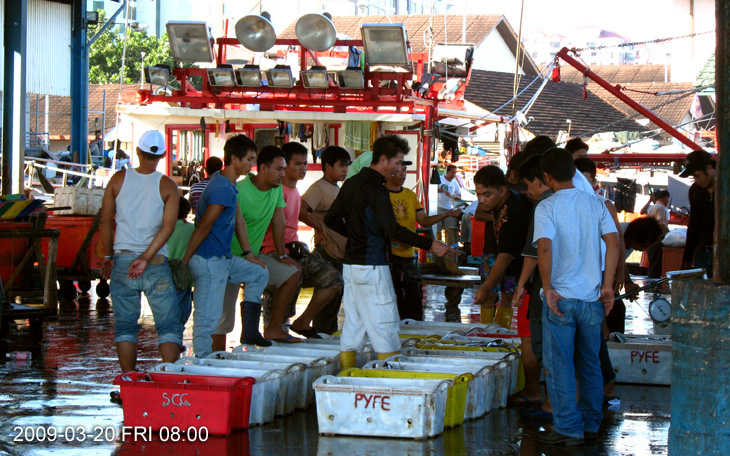 Fish monger at SAFMA jetty Kota KInabalu