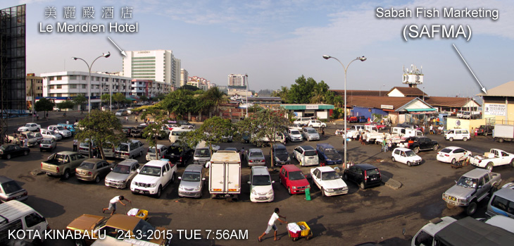 Sabah Fish Marketing (SAFMA)