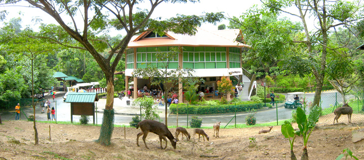 Lok Kawi Wildlife Park