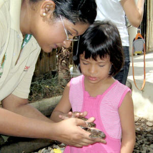 Animal Show
