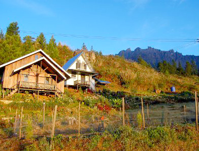 Kiram’s Village Cabin Mesilau Kundasang