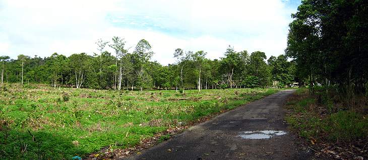 HUTAN SIMPAN KERUAK KELAS VI (VJR)