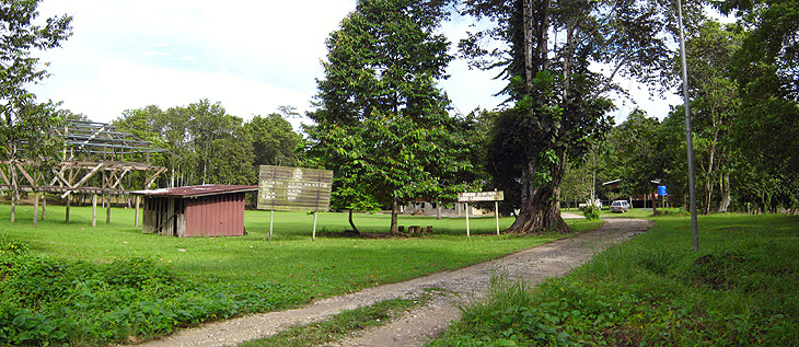 HUTAN SIMPAN KERUAK KELAS VI (VJR)