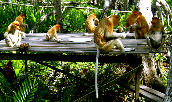 ��  �R  �W  ��  ��  �U  �O  �@  ��  ��