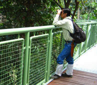 京那巴當岸河野生之旅