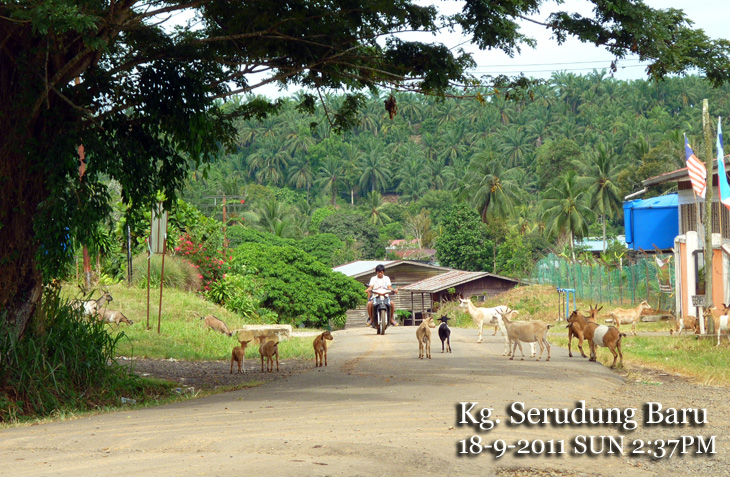 Kg. Serudung Baru, Balung
