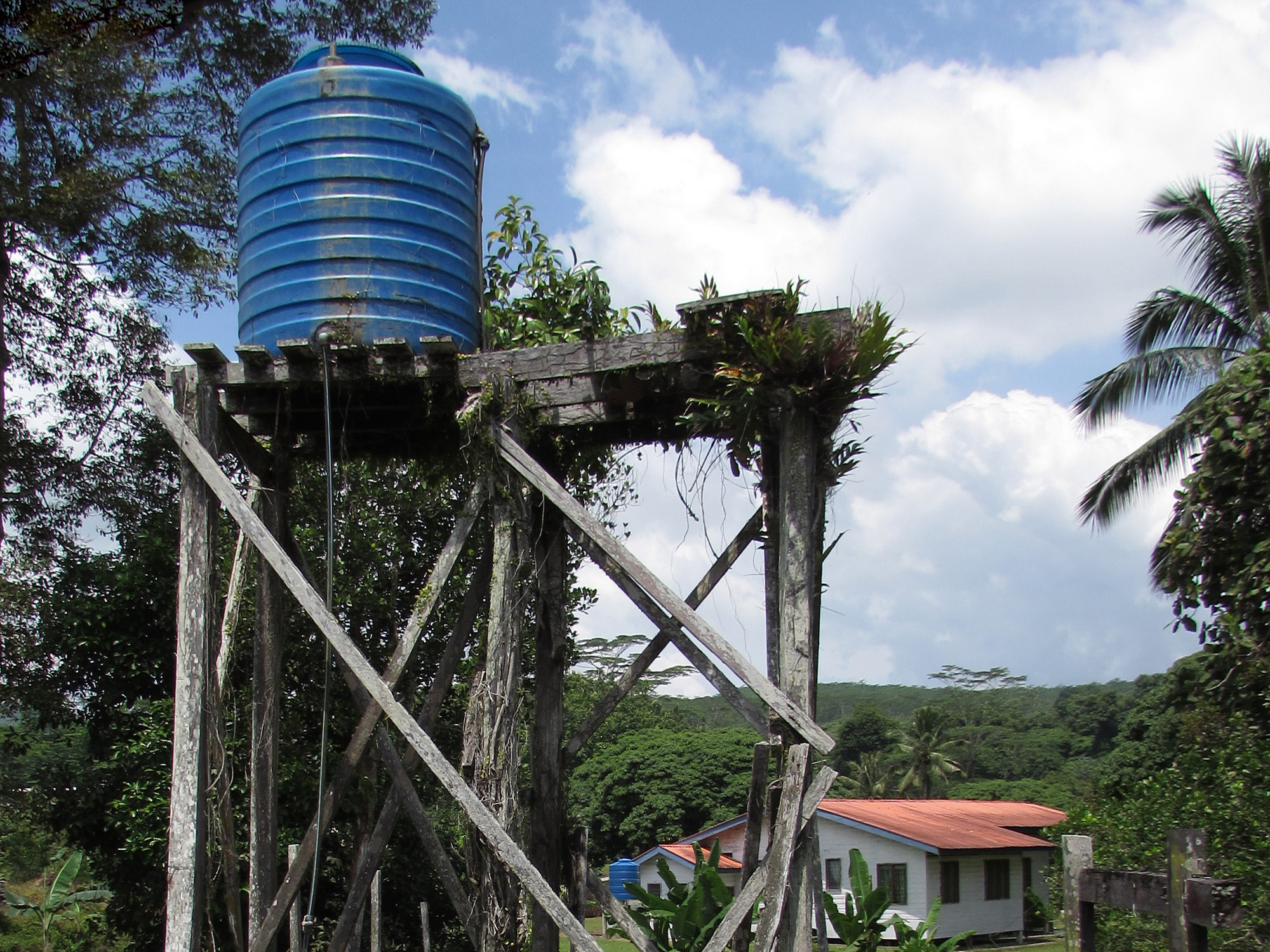 Staff quarters of Brumas plantations of Sabah Softwood Sdn. Bhd. under Yayasan Sabah Foundation