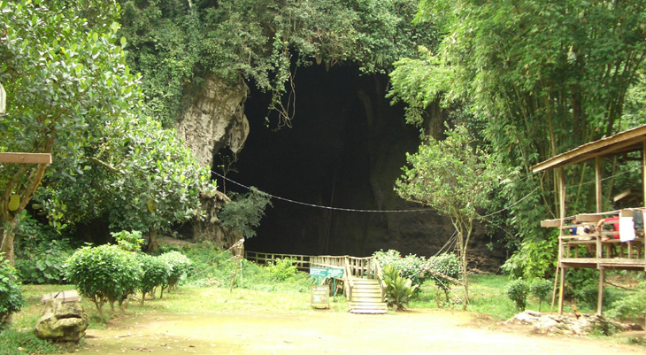 Gomantong Caves