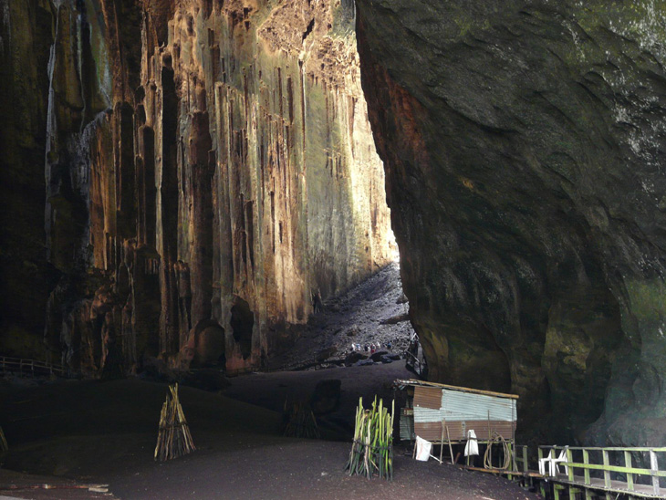 Gomantong Caves