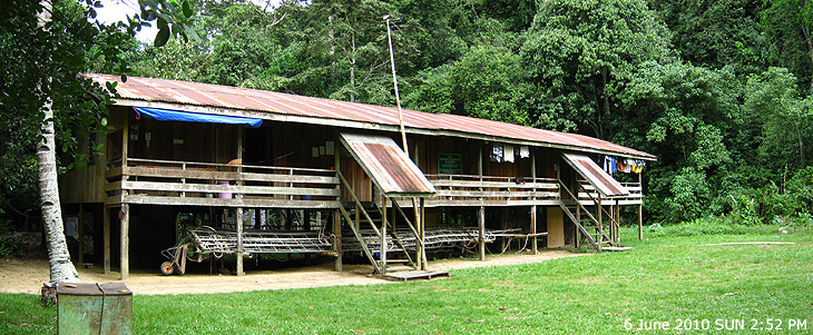 Gomantong Caves