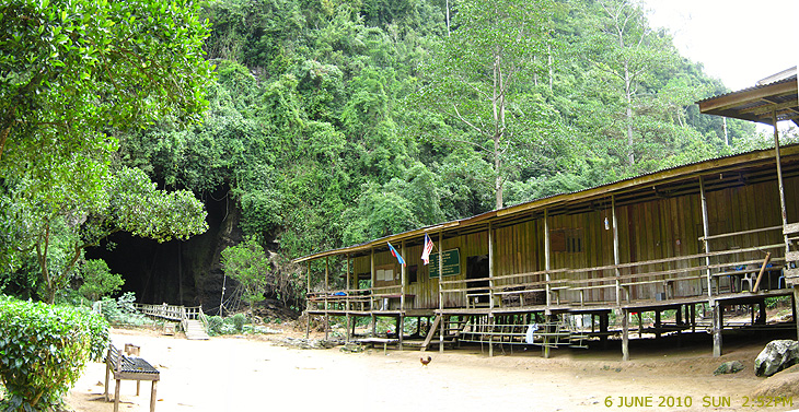 Gomantong Caves