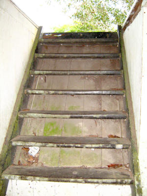 Fort Alice