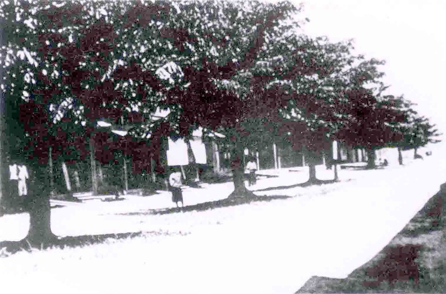 1930 Chinese Shophouses