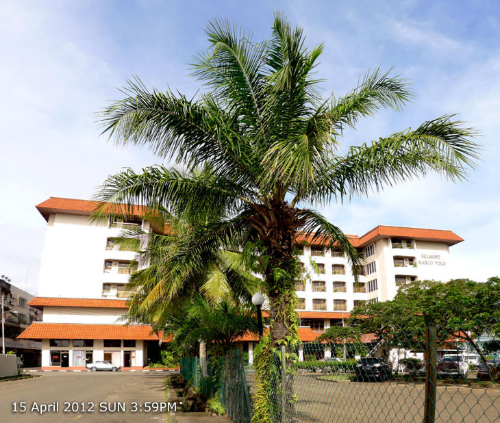 Belmont  Marco  Polo  Hotel