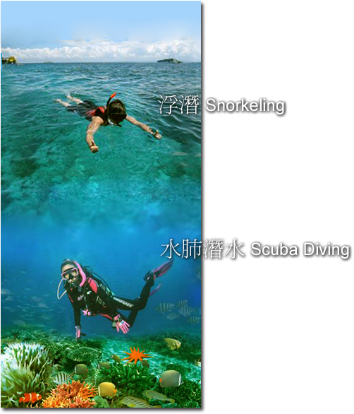 ���������װ���Sutera Harbour Dive Resort