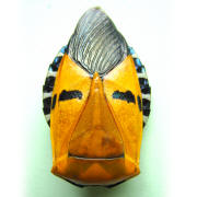 Older photograph 8 from the beetle folder, undated