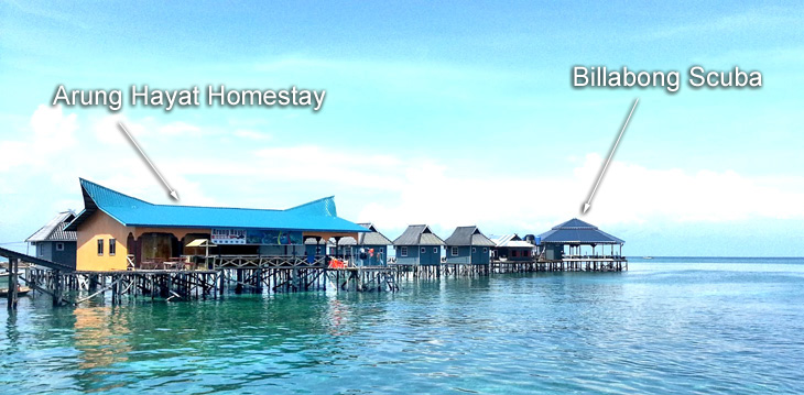 Arung Hayat Homestay and Billabong Scuba