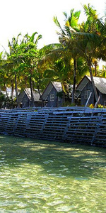 Roach Reefs Resort