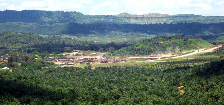 Deforestation in Kalabakan, Sabah
