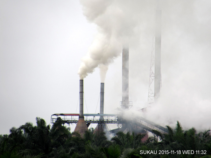 Air pollution in Sukau's oil palm estates.