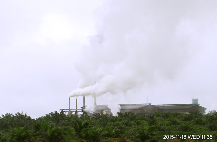 An oil palm refiner mill in Sukau District beside Kinabatangan River 