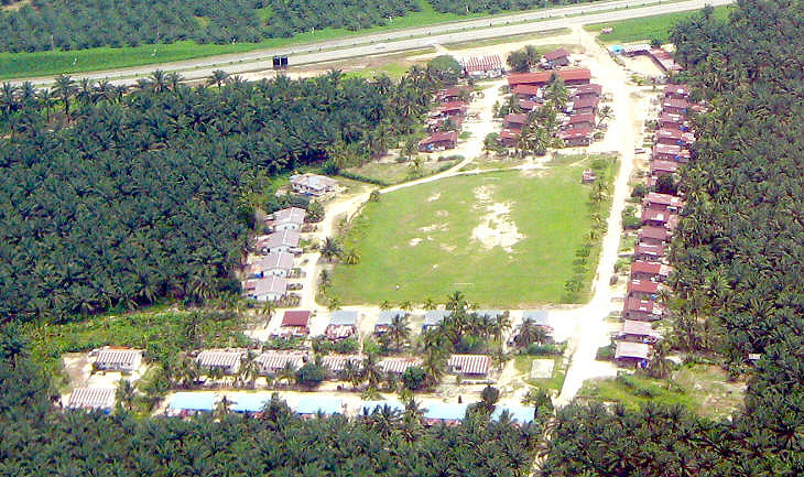 Oil palm plantation workers' quarter