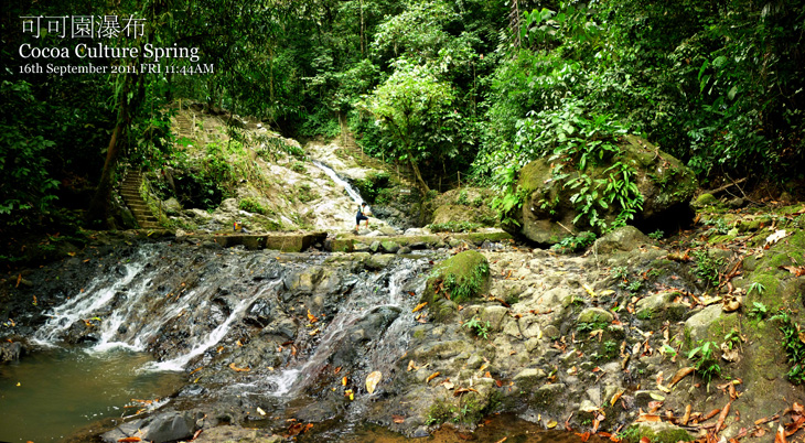 Cocoa Culture Spring