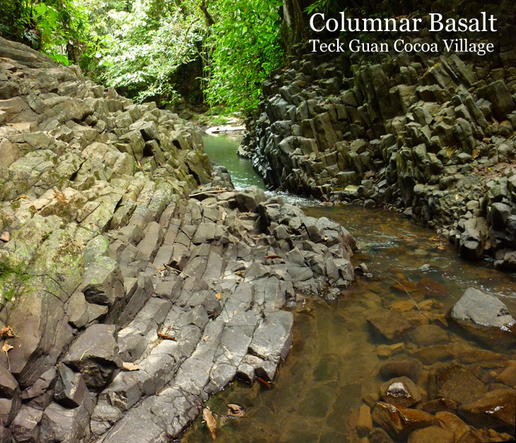 Columnar Basalt in Teck Guan Cocoa Village
