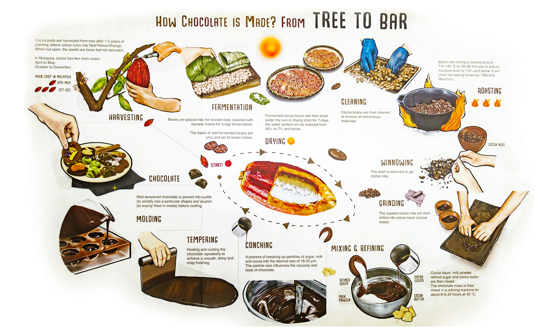 Sabah Cocoa Industry