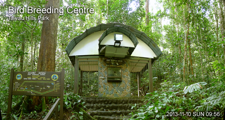Bird Breeding Centre Tawau Hills Park