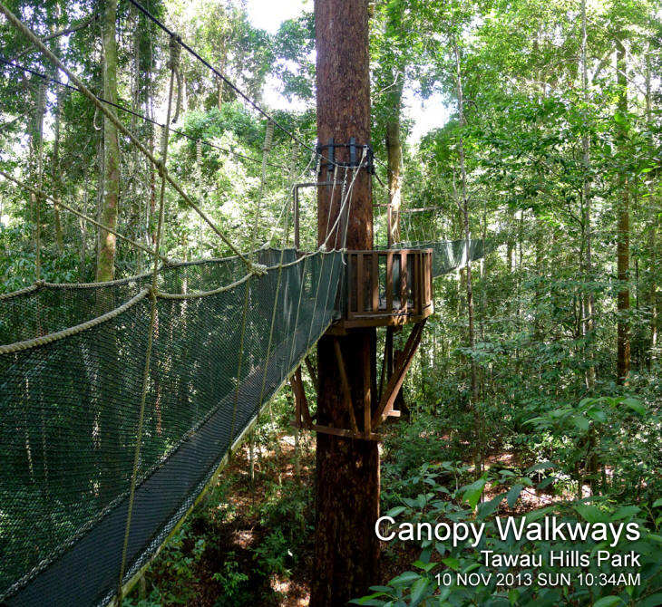 Canopy Walkways of Tawau Hills Park