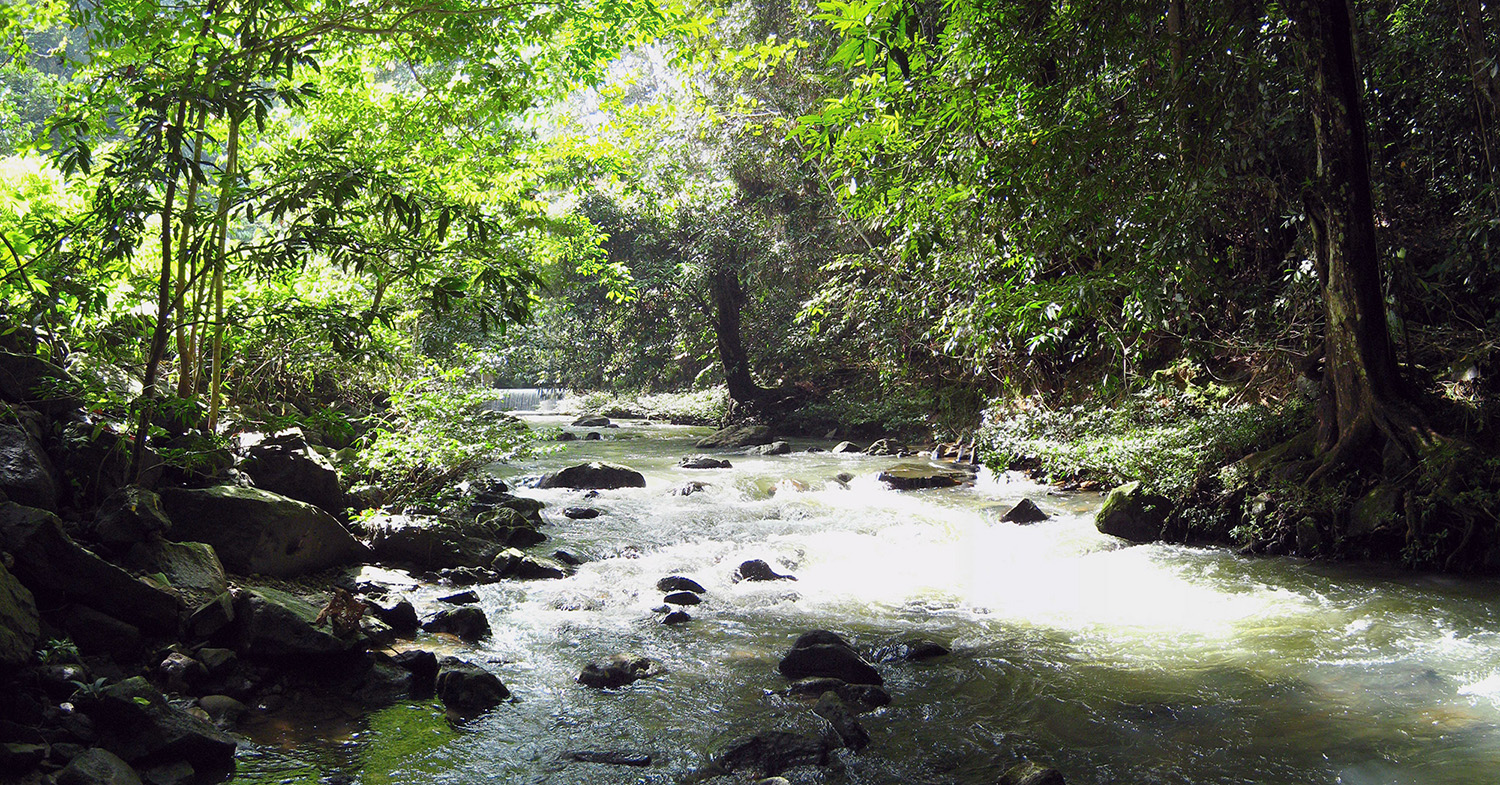 Picnic Ground in Tawau Hills Park