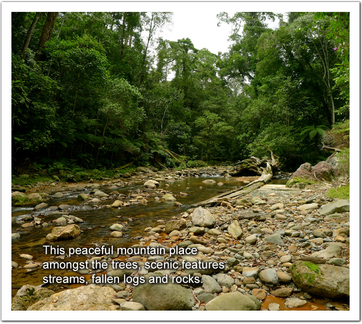 Mountain stream