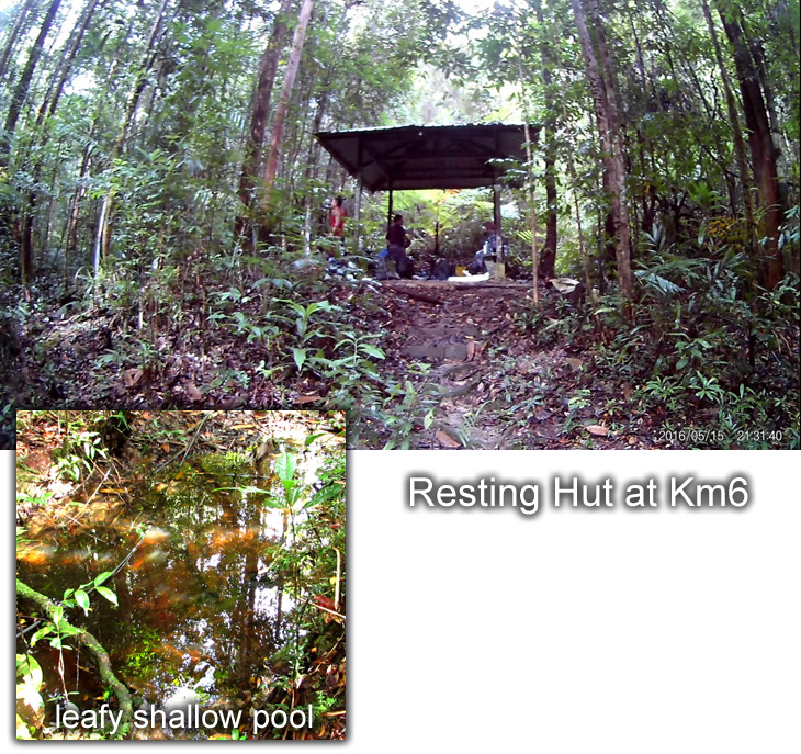 Resting Hut at Km6