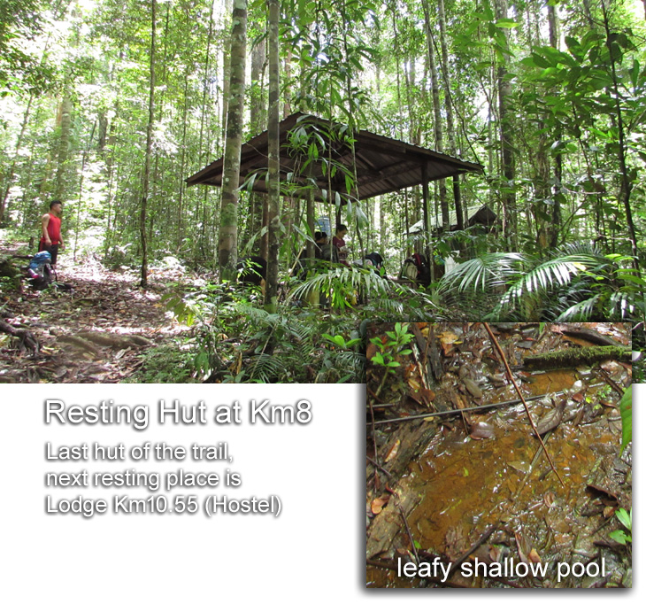 Resting Hut at Km8