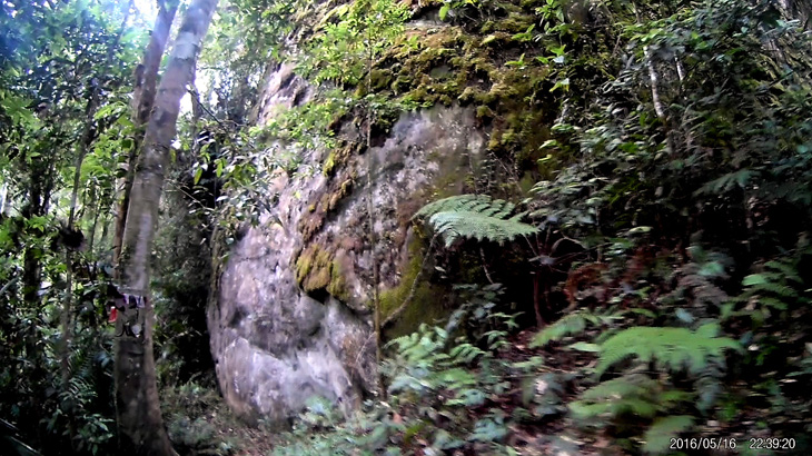 A huge mossy rock wall